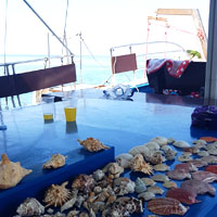 home_square_2 home_square_2