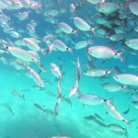 1705790136553 1705790136553